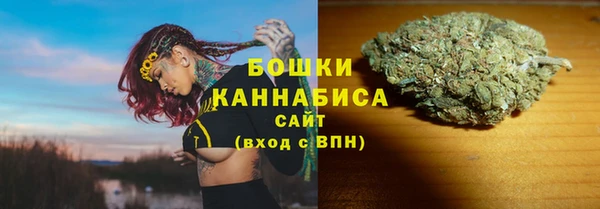 сатива Алексеевка