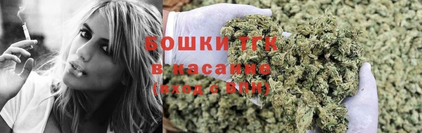spice Абаза