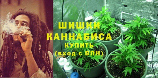 spice Абаза