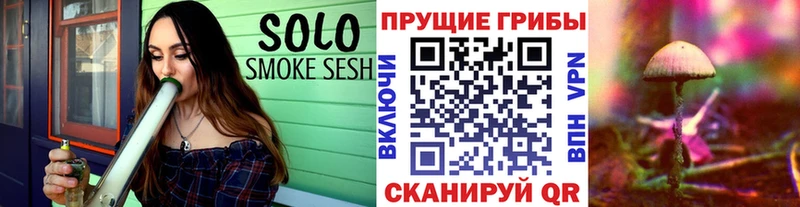 Псилоцибиновые грибы MAGIC MUSHROOMS  где продают наркотики  Отрадный 